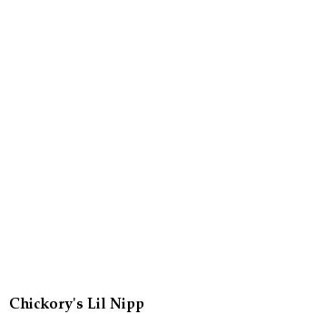 Chickory's Lil Nipp